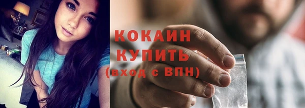 индика Лиски