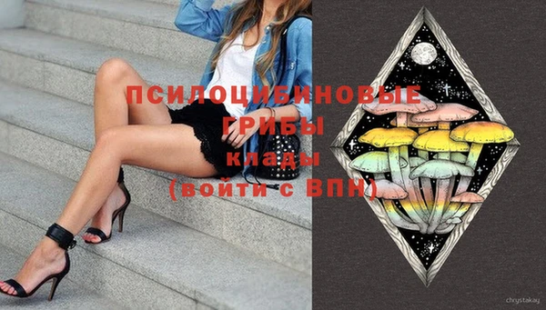 прущий лед Липки