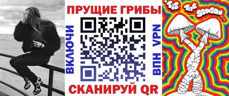 ОМГ ОМГ зеркало  Калуга  Галлюциногенные грибы прущие грибы 