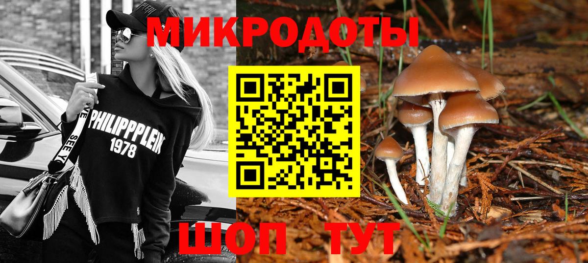 Псилоцибиновые грибы MAGIC MUSHROOMS Калуга