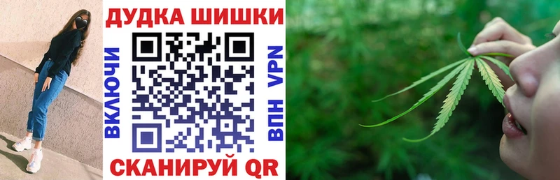где можно купить Калуга Канабис гибрид